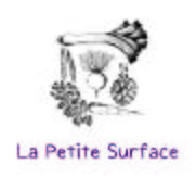 La petite surface - logo.jpg