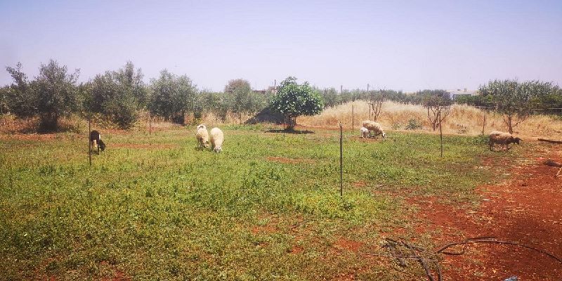 Fichier:Adil Dach Test baniere.jpg