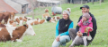 GAEC de la Brive vaches au pâturage