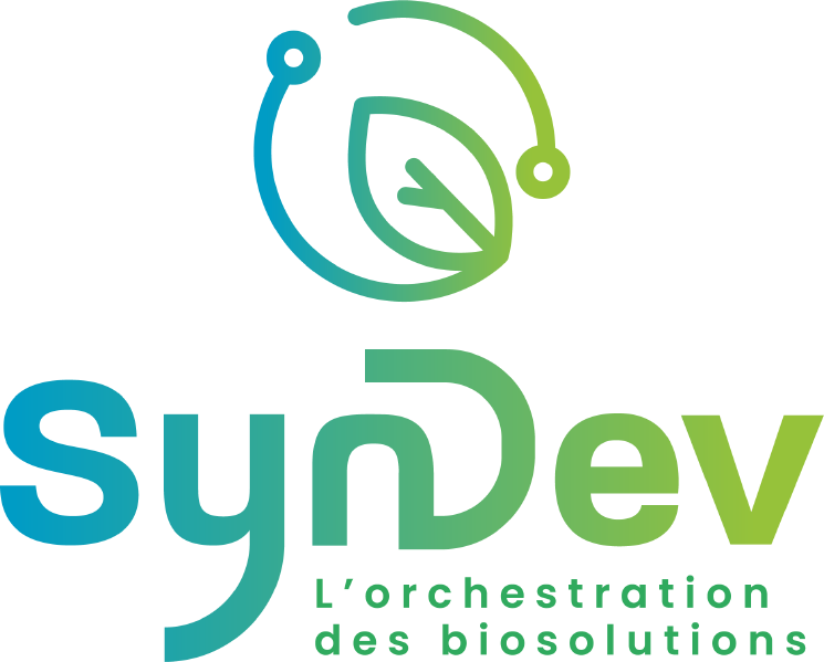 Fichier:Logo SynDev.png