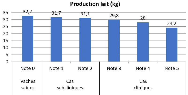 Fichier:Production laitière.PNG
