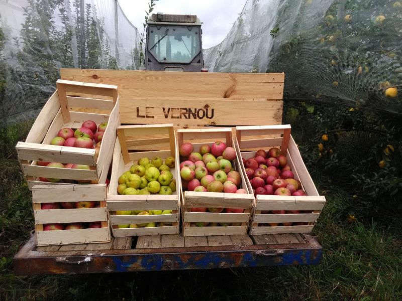 Fichier:Pommes Vernou 2.jpg