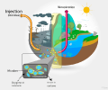 Bioremediation (1)