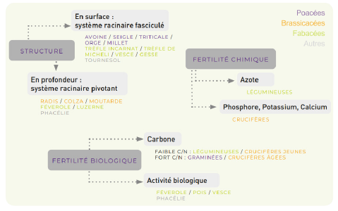 Choix des espèces suivant les objectifs des viticulteur·trices