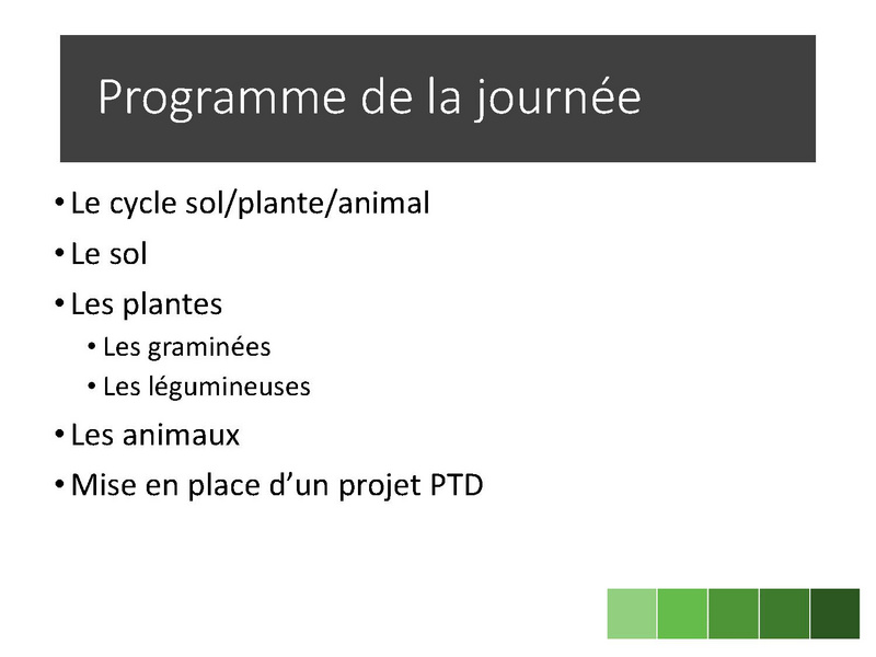 Fichier:Pâturage tournant dynamique - Mathieu Bessière - PIM 2020.pdf