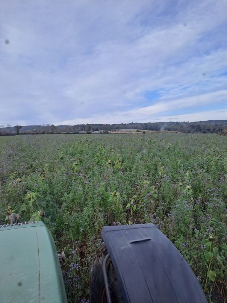 Fichier:Couvert Marchadour 2.jpg