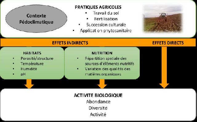 Impacts des pratiques culturales sur les sols — Triple Performance