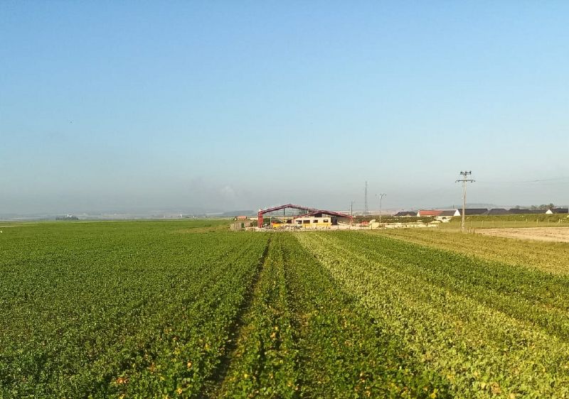 Fichier:Gaec des vigneux.jpg