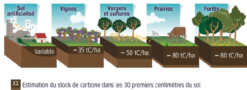 Fichier:Stock de carbone organique dans les 30cm de sol.png