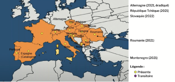 Évolution des foyers de flavescence en Europe
