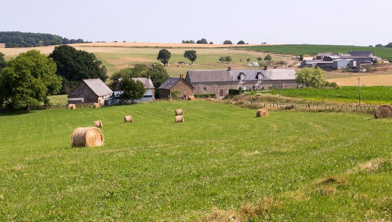 ملف:Transmettre sa ferme.jpg