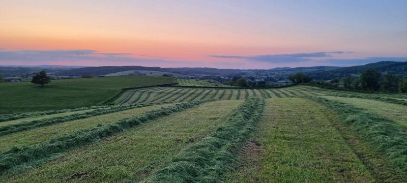 Fichier:Récolte de méteil.jpg