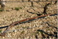 Cables chauffants vigne 