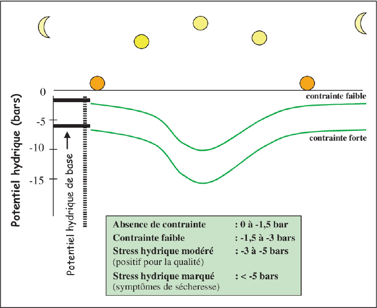 Fichier:Evolution du stress hydrique en fonction de la journée - La mesure du potentiel tige se fait à midi heure solaire.png
