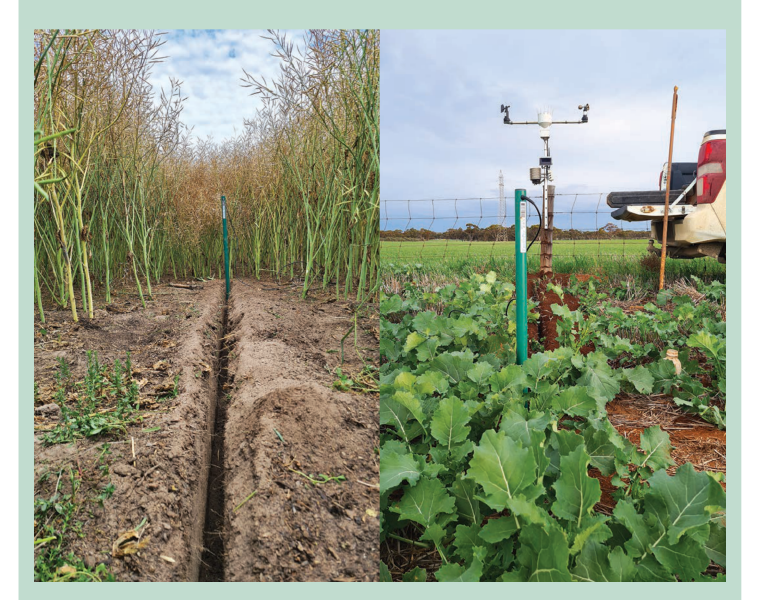 Fichier:Water-smart-farming-manual-grdc-20260217.pdf 19.png