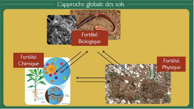 Approche globale des sols — Triple Performance
