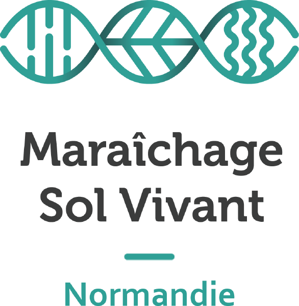 Fichier:Logo MSV Normandie officiel.png