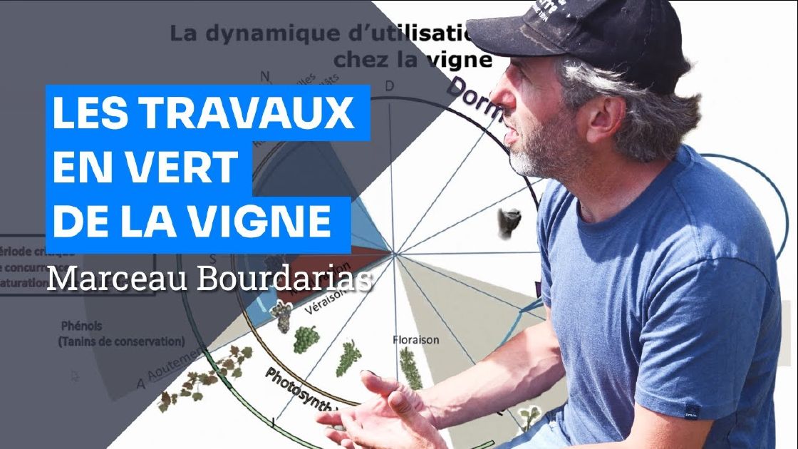 Les travaux en vert - formation Viticulture Grandeur Nature, Marceau ...