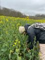 Vignette pour la version du 23 mai 2026 à 11:34