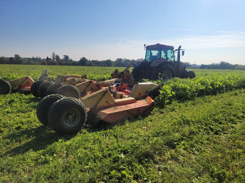 Fichier:Moisson Saboureau.jpg