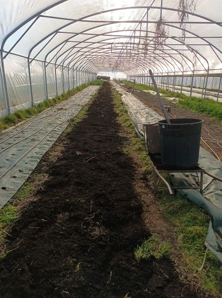 Fichier:Polytunnel.jpg