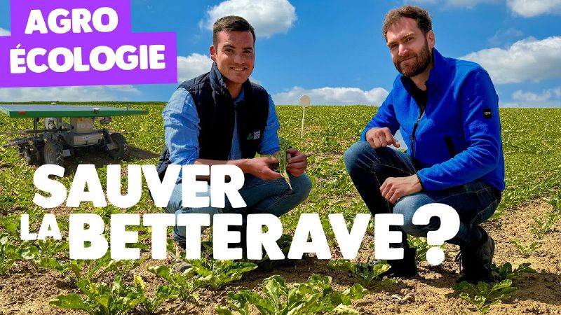 Fichier:Thumbnail youtube cT5VaOKoCZA.jpg