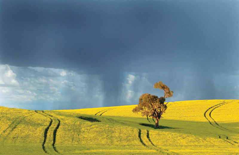 Fichier:Water-smart-farming-manual-grdc-20260217.pdf 20.png