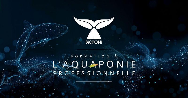 Fichier:Illustration Formation Bioponi.jpg