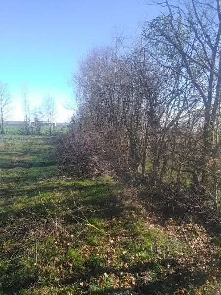 Fichier:Haie Vernou3.jpg