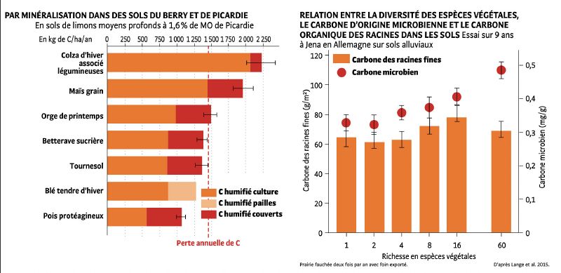 File:Graphs2 TCS.jpg