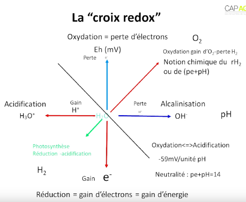 Croix Redox