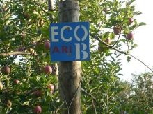 Image ECO Ariane verger de pommiers r sistant la tavelure et conome en produits phytosanitaires.jpg