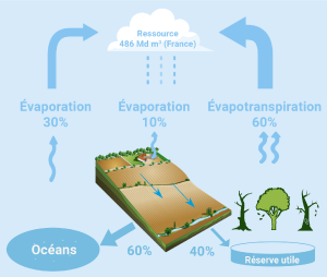 Le schéma décrit la formation des eaux de pluie à partir d'évaporation d'eau issue de l'océan, d'évaporation et d'évapotranspiration des terres. La figure présente les proportions de répartitions des eaux de pluie entre l'océan et les terres.
